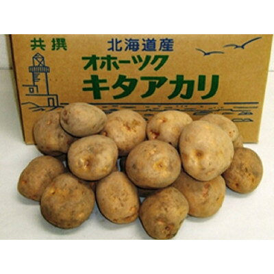 【ふるさと納税】北海道小清水町産 北あかり10kg 甘み豊かな人気じゃがいも【1763226】