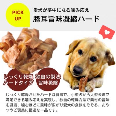 ふるさと納税 久留米市 プレミアム長持ちおやつ ササミ巻き豚耳 40g×90袋セット(久留米市) |  | 02