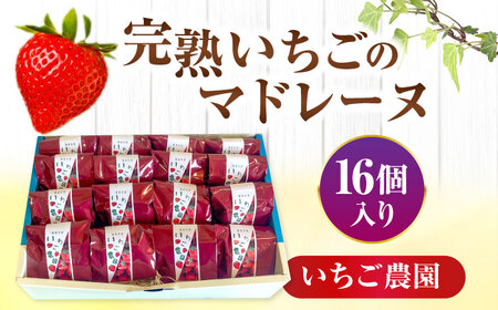 いちごのマドレーヌ いちご農園 16個入 マドレーヌ【配達不可：離島】[AEAU007]