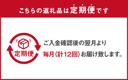 【定期便 年12回】 やまや 博多もつ鍋 こく味噌味 1～2人前