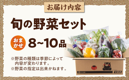 旬の野菜 おまかせ 詰め合わせ セット 8?10品目【合志物産販売 志来菜彩】[AYCA001]