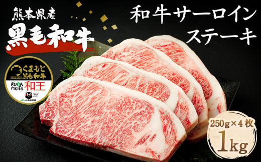 
熊本県産 黒毛和牛 サーロイン ステーキ 計1kg（250g×4）国産 牛肉
