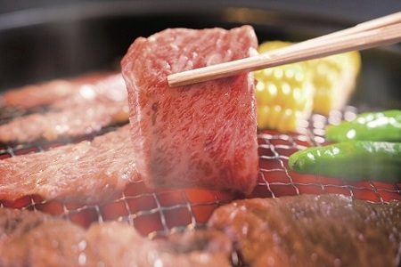 【2026年1月中旬以降発送】丹波牛 焼肉用 500g 3～4人前 【 黒毛和牛 国産牛 焼肉 丹波牛 赤身 霜降り 焼肉のタレ付き たれ 京都 丹波 いづつ屋 】