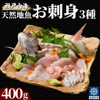 ふるさと納税 竹原市 漁協直送!瀬戸内海 天然地魚 お刺身 3種セット 400g【急速凍結 小分け 骨取り】