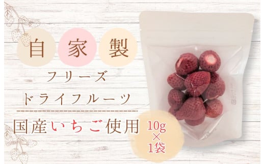 メルカドレグメス　フリーズドライフルーツ　いちご ／ フリーズドライフルーツ フリーズドライ フルーツ 果物 くだもの いちご イチゴ 苺 自家製