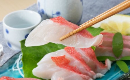 初音のうまいもん！を毎月お届け定期便_冷凍 調理済み 時短 湯せん お弁当 個包装 惣菜 小分け 子供 簡単調理 お取り寄せ 人気 湯煎 お湯ぽちゃ レトルト 温めるだけ [hn069]