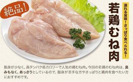 大容量 鶏肉 熊本県産 若鶏むね肉  2kg   