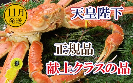誉れ高き越前がに「皇室献上級」 × 1杯 桐箱入り！【11月発送分】【雄 ズワイガニ ずわいがに 姿 生 ボイル 冷蔵 福井県】【浜茹でお届け】希望日指定可 備考欄に希望日をご記入ください [e37-x011_11b]