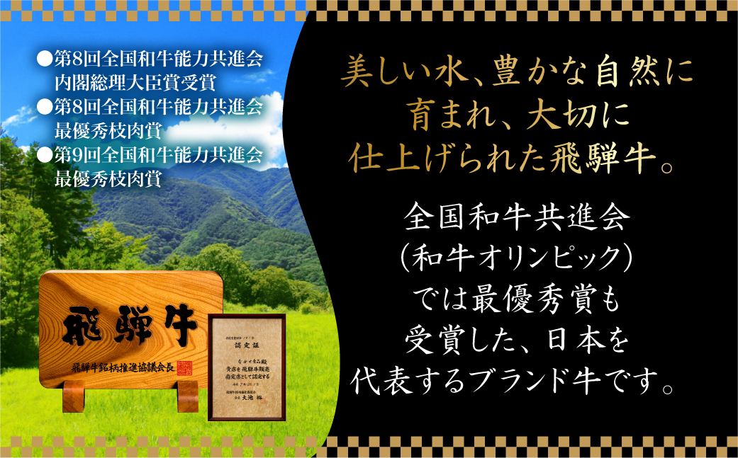 【定期便6ヶ月】 A5ランク肉 飛騨牛 定期便 約2.6kg(360g以上×6ヶ月) 牛肉 ( 焼肉 すき焼き しゃぶしゃぶ ステーキ 肩ロース ヒレ サーロイン もも バラ ) | 食べ比べ A5 