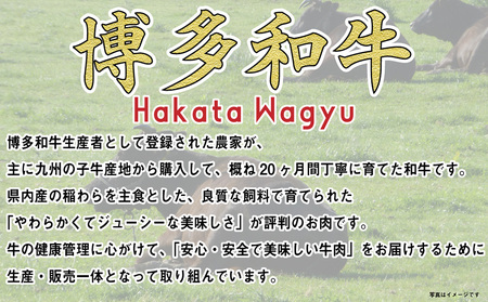 福岡の豊かな自然で育った 博多和牛ミニステーキ用 約600g 肉 牛肉