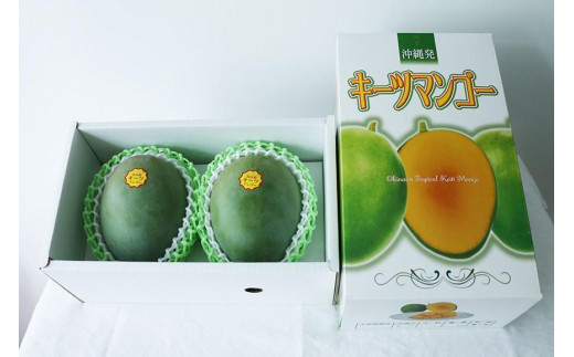 ★品切れ★《先行予約》沖縄県宮古島産 減農薬栽培 キーツマンゴー甘濃（かんのう）2玉【琉球マルシェ】