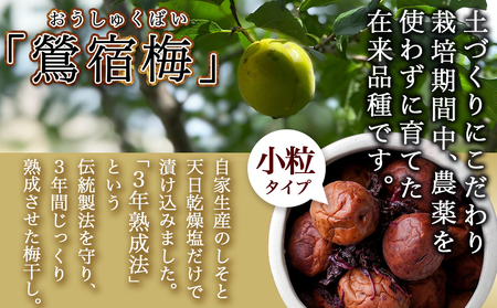 【敬老の日】徳重おばあちゃんの3年熟成小粒梅干し1kg≪9月11日～15日お届け≫_MJ-4904-KG_(都城市) 紅梅 いのちの梅干し うめぼし(500g×2) 塩分12％ 長期熟成 自家農園 お