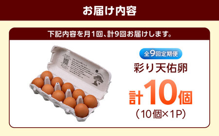【9回定期便】彩り天佑卵 10個入り[AIDL009] 卵