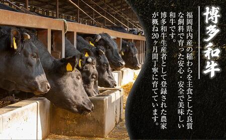 博多和牛 サーロインステーキセット 500g ( 250g×2枚 )