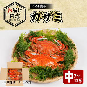 あおがざみ(計650g~700g・中サイズ) ワタリガニ　蟹 ボイル 海鮮 かに 冷凍 【101901900】【上野水産】