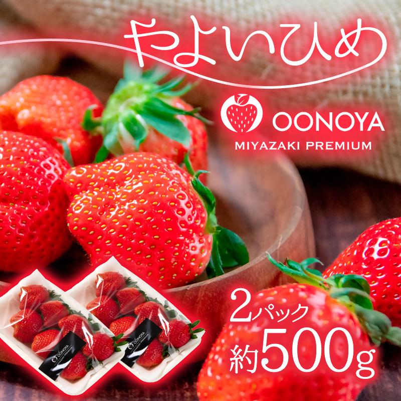 苺大野屋 やよいひめ 厳選いちご250g×2パック（合計500g） 宮崎県西都市＜1-294＞【先行予約】★