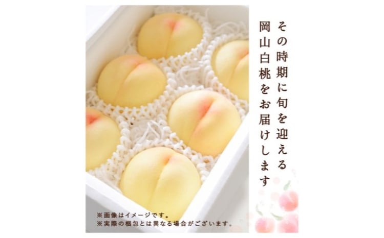 桃 2026年 先行予約 白桃 3玉(約750g)等級：ロイヤル 化粧箱入り もも モモ 岡山県産 国産 フルーツ 果物 セット ギフト