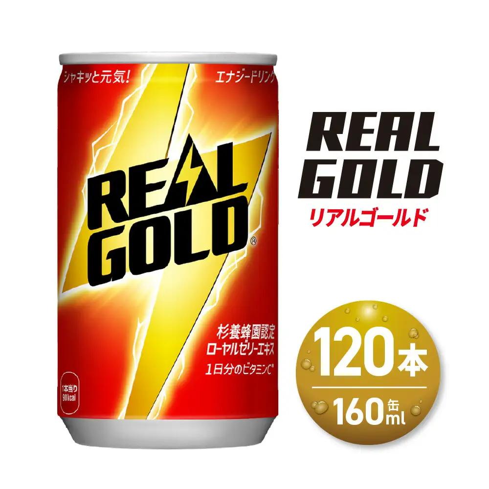 リアルゴールド 160ml缶×120本 【札幌市の魅力】 エナジードリンク  炭酸飲料