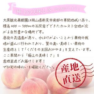【2025年先行予約】［大原観光果樹園］岡山県産 旬の朝採れ白桃 1箱（約4kg 12～13玉）［026-a021］