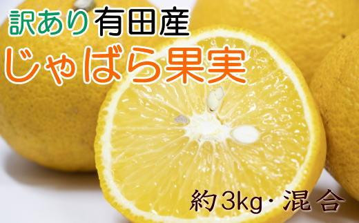 
【訳あり品】有田産のじゃばら果実約3kg
