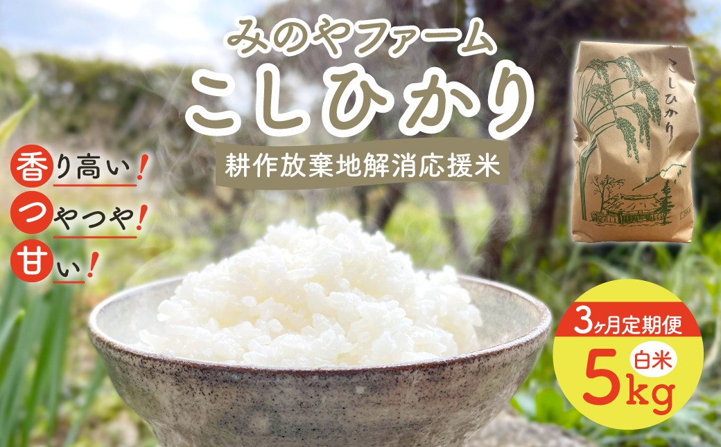 
                  【3ヶ月定期便】令和８年産 新米 こしひかり　5ｋｇ（白米） みのやファームの耕作放棄地解消応援米 【 コシヒカリ こしひかり おいしいお米 自然栽培 贈り物 ギフト 千葉県 御宿町 人気 おすすめ ランキング 】 ONJF009
                