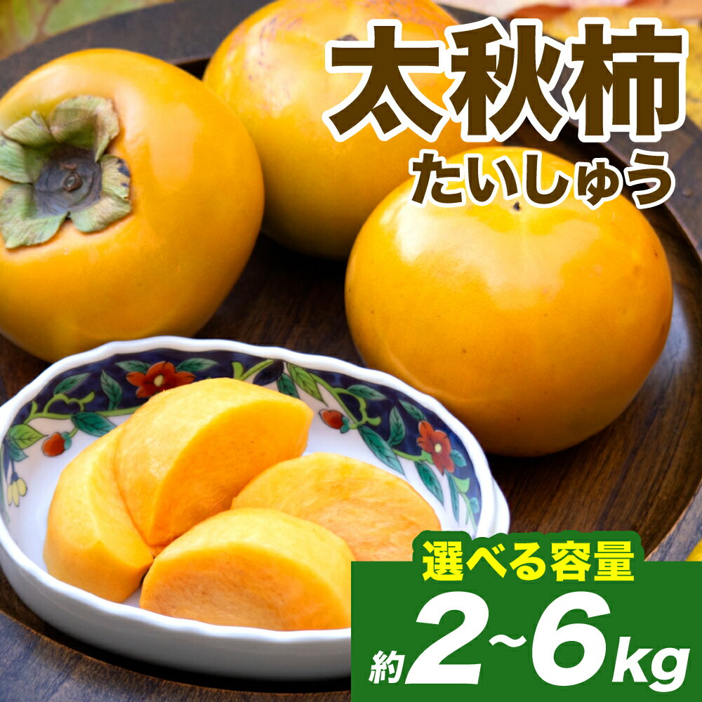 【ふるさと納税】 【先行予約】 【選べる内容量】 熊本県産 太秋柿 約2kg～6kg(4～30玉) フルーツ くだもの 果物 柿 かき カキ おやつ デザート 秋の味覚 秋 旬 熊本県 八代市 送料無料 【2026年10月上旬より順次発送】