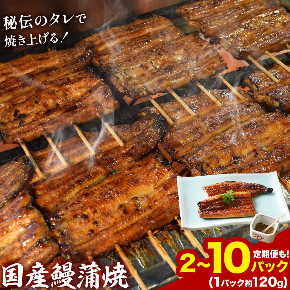 【ふるさと納税】鰻 国産鰻蒲焼 選べる 2パック 5パック 10パック 約 120g 定期便 あり 3ヶ月 6ヶ月 有限会社安井家《出荷時期をお選びください》千葉県 我孫子市 鰻 うなぎ 蒲焼 丑の日 蒲焼き 冷蔵 タレ 山椒【配送不可地域あり】(離島)