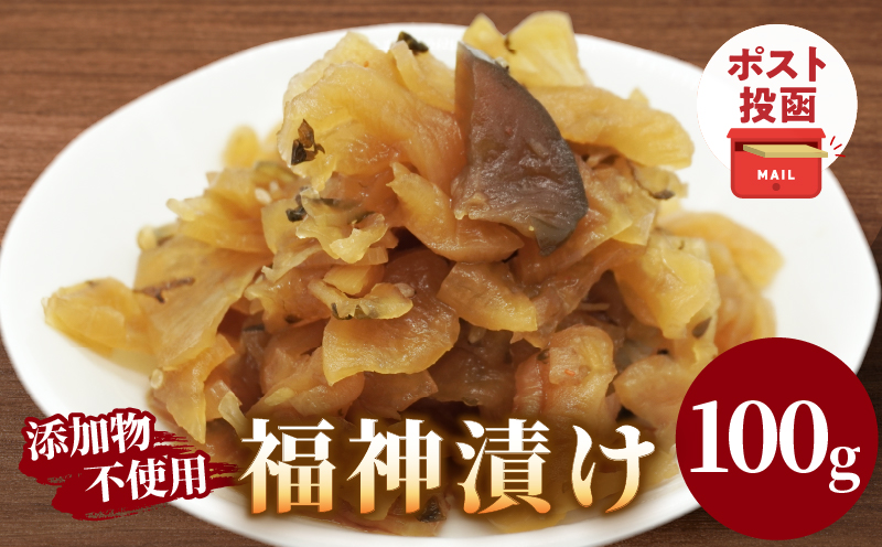 ＼ポスト投函／福神漬け100g おかず 漬物 野菜 加工品 国産_T037-011
