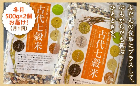 【全12回定期便】古代七穀米（500g×2個セット）【だいちの家】雑穀 国産 スローフード[HAG011]