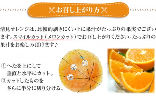 清見オレンジ 約8kg / 果実サイズおまかせ ※2027年2月中旬～2027年4月下旬頃発送予定　紀伊国屋文左衛門本舗【ntb401C】