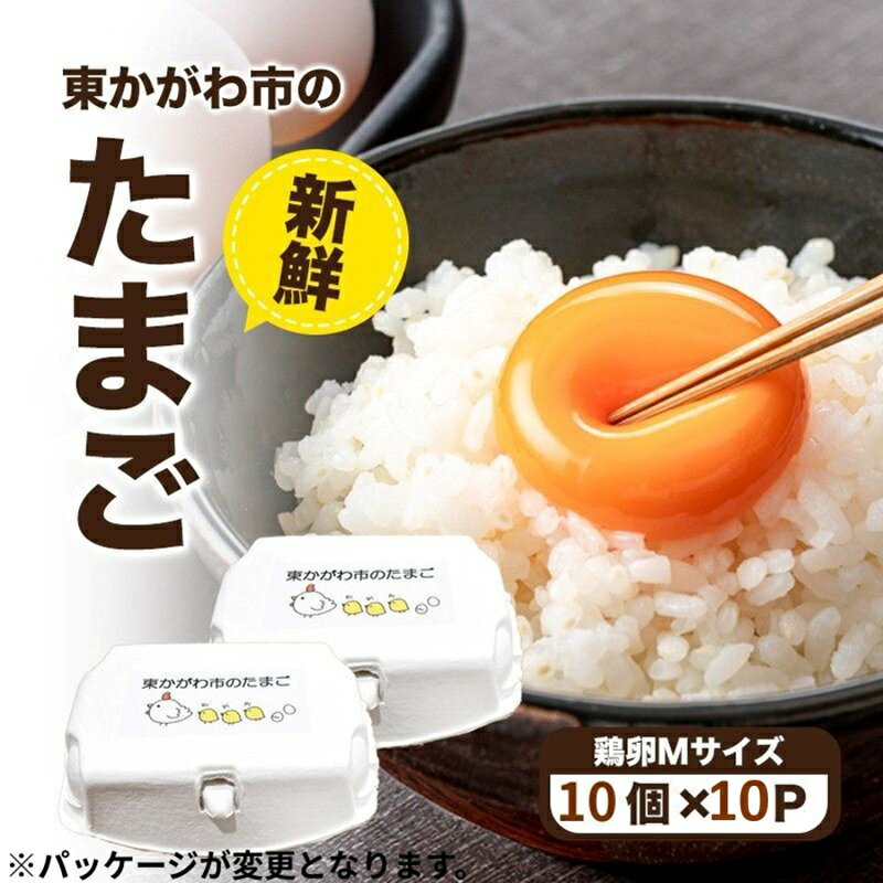【ふるさと納税】東かがわ市のたまご「鶏卵Mサイズ（10個×10P）」割れ保障1p含む たまご 卵 鶏卵