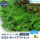 【ふるさと納税】水草 おまかせ水上葉 レイアウトセット 60cm 水槽用 8種 無農薬 1パック インテリア ナチュラル 自然 リラクゼーション 室内栽培 プレゼント 送料無料 趣味 緑 人気 オススメ 初心者 玄関 リビング 水槽 アクアリウム 説明書付 株式会社チャーム