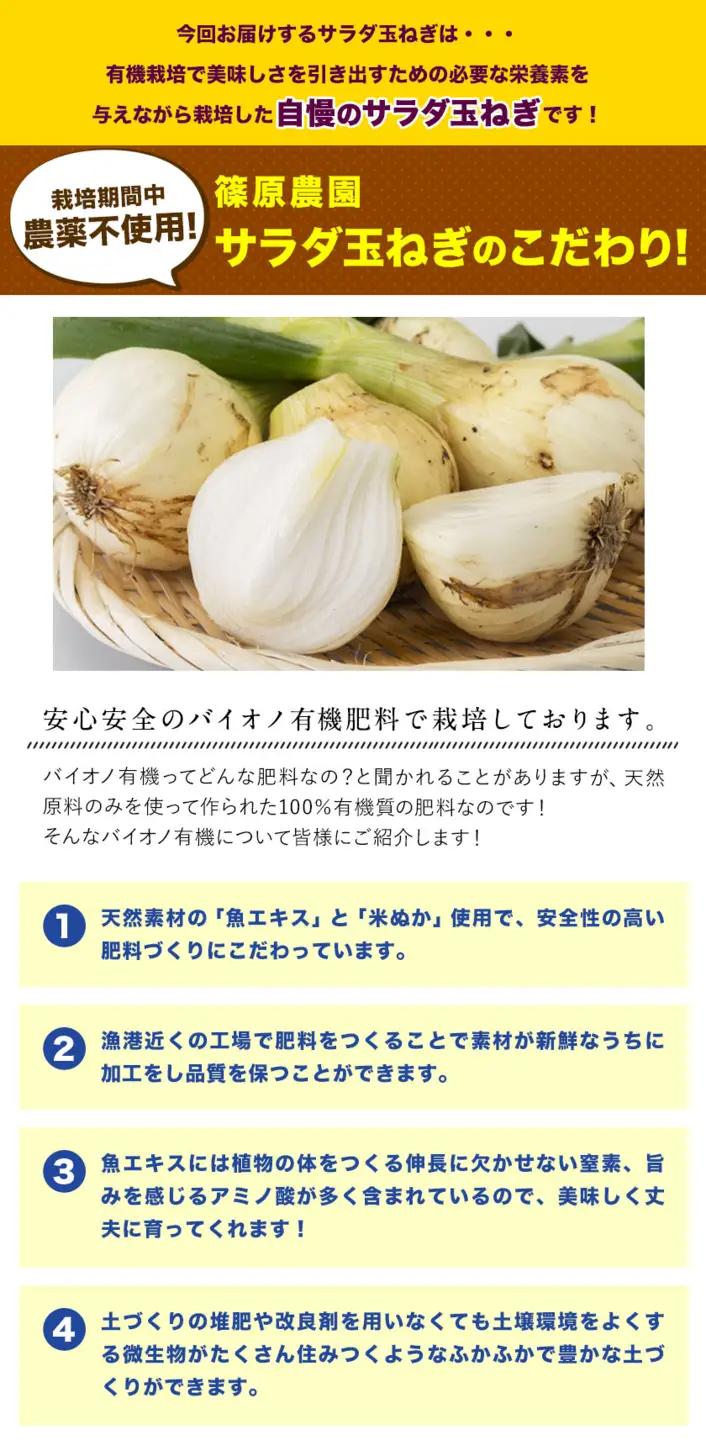 玉ねぎ サラダ 5kg 玉ねぎ