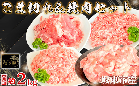 茨城県産「穂り豚」こま切れ＆挽肉セット2kg No.847