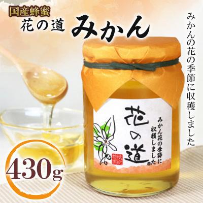 ふるさと納税 広川町 みかん　430g(広川町)
