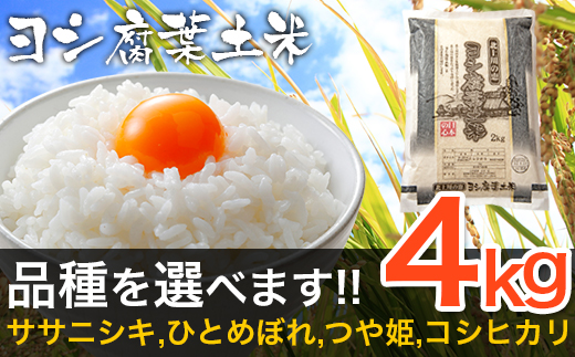 令和6年産 ヨシ腐葉土米 ひとめぼれ 精米4kg（2kg×2袋）