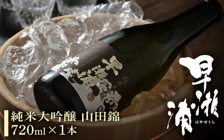 早瀬浦 純米大吟醸 山田錦 720ml × 1本 【入手困難 日本酒 就職祝い 転職祝い ハレの日 ギフト プレゼント お祝い お返し お礼 お中元 お歳暮 父の日 敬老の日 】[m06-c004]