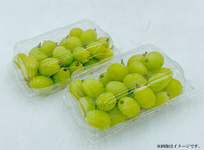 【先行予約】 シャインマスカット 350ｇ入り 2パック ★8月下旬から発送★｜ぶどう ぶどう ぶどう ぶどう ぶどう ブドウ マスカット 愛媛 松山【FA0872】