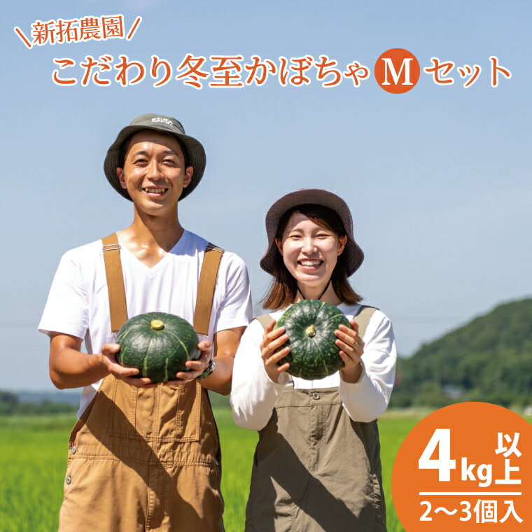 【ふるさと納税】【数量限定】新拓農園のこだわり冬至かぼちゃMセット 【野菜 やさい カボチャ 1万円以内 10000円以内 ほくほく 甘い おいしい パンプキン 国産 産地直送 期間限定 季節限定 茨城県 鹿嶋市】（KDC-2）