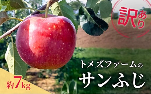 
                  サンふじ（訳あり） 約7kg　トメズファーム　りんご　長野　信州　小諸　果物　フルーツ [№5915-1668]
                