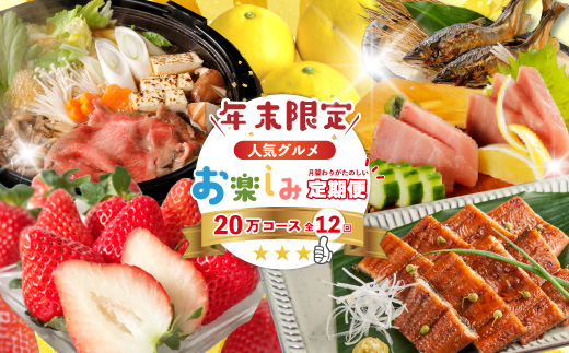 【年末限定】 12回 定期便 四万十 人気 グルメ お楽しみ定期便 しまんと ふるさと 20万円 今だけ 年末 限定 肉 いちご 文旦 うなぎ 牛肉 パン まぐろ マグロ かつお フルーツ 人気グルメ ごちそう 贅沢 豪華 高知 四万十市