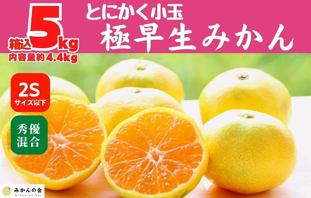 小玉みかん 極早生 箱込 5kg (内容量約 4.4kg) 2Sサイズ以下 秀品 優品 混合 有田みかん 和歌山県産 【みかんの会】 AX224