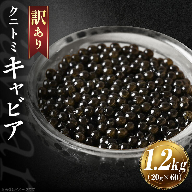 【ふるさと納税】【訳あり】クニトミキャビア 1.2kgセット(20g×60)
