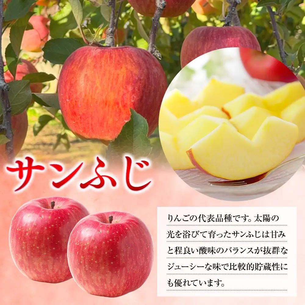 前島農家 信州りんご・サンふじ（秀）約5kg（12個～18個） | りんご