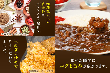 たまご屋さんのやわらか親鶏カレー  10人前 300g×5袋 野上養鶏場  《60日以内に出荷予定(土日祝除く)》 福岡県 鞍手郡 鞍手町 味宝卵 カレー