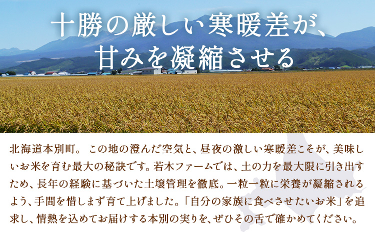 米 令和8年産 ゆめぴりか 10kg 若木ファーム 《11月上旬以降順次出荷》北海道 本別町 米 お米 白米 精米 2026年 予約 北海道産 十勝 本別町産 特A 産地直送---hsh_wakon_