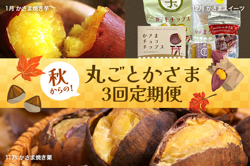 
                  2024年秋からの【丸ごとかさま】3回定期便  11月かさま焼栗 12月かさまスイ－ツ 1月かさま焼き芋
                