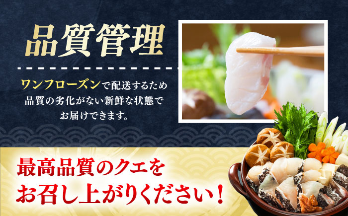 【全2回定期便】対馬産 クエ ぶつ切り 1.2kg 鍋用スープ付《対馬市》【島本水産】高級魚 新鮮 肉厚 本格的 海鮮 鍋セット フライ 煮付け アラ [WBI018]