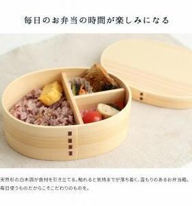紀州漆器 曲げわっぱ まげわっぱ 弁当箱 ［ベンガル］ 我が家のネコちゃんシリーズ［YS87］