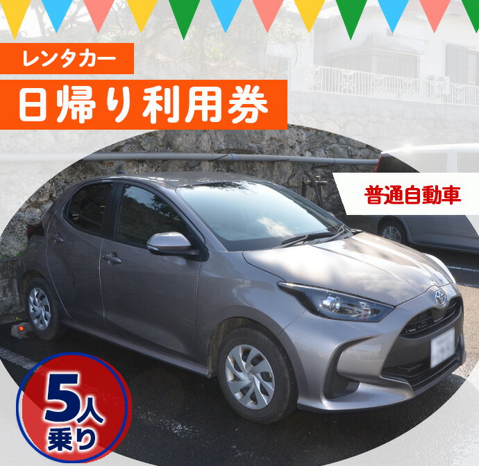 【ふるさと納税】鹿児島県 徳之島 天城町 レンタカー 日帰り利用券 普通自動車 5人乗り ビジネス 旅行 チケット